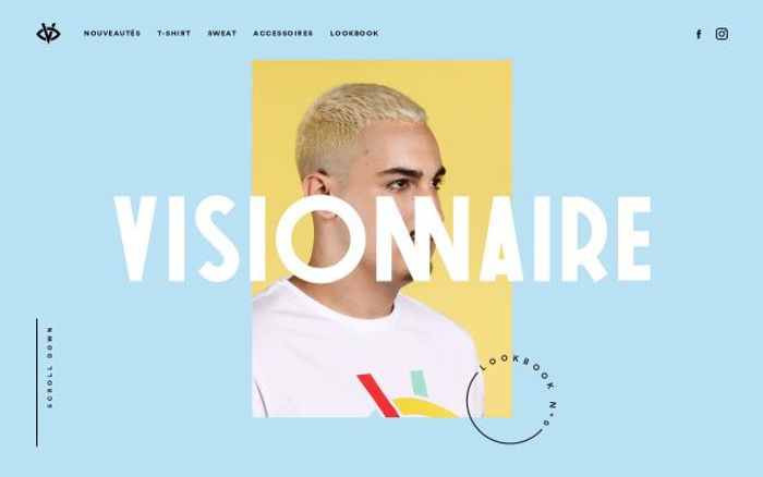 Screenshot of Vision-naire website