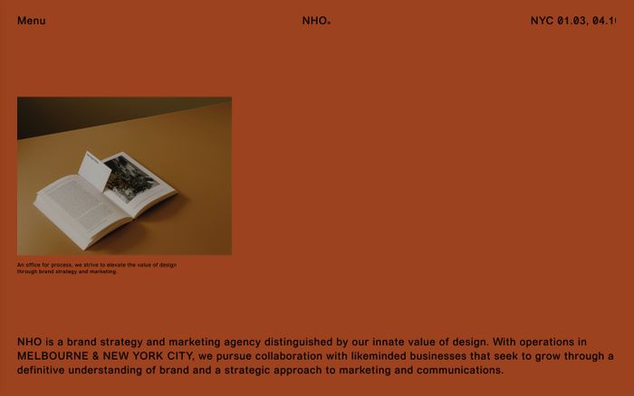 Screenshot of Nho website