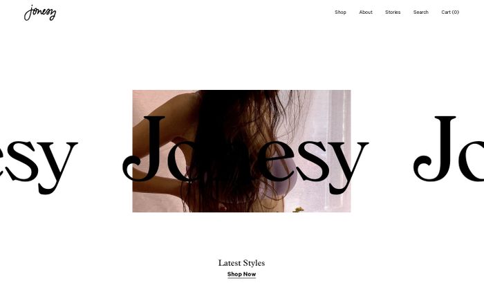 Screenshot of Jonesy website