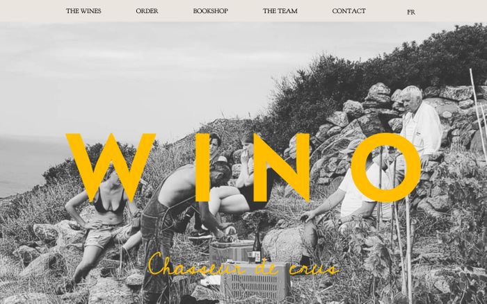 Screenshot of Wino Import website