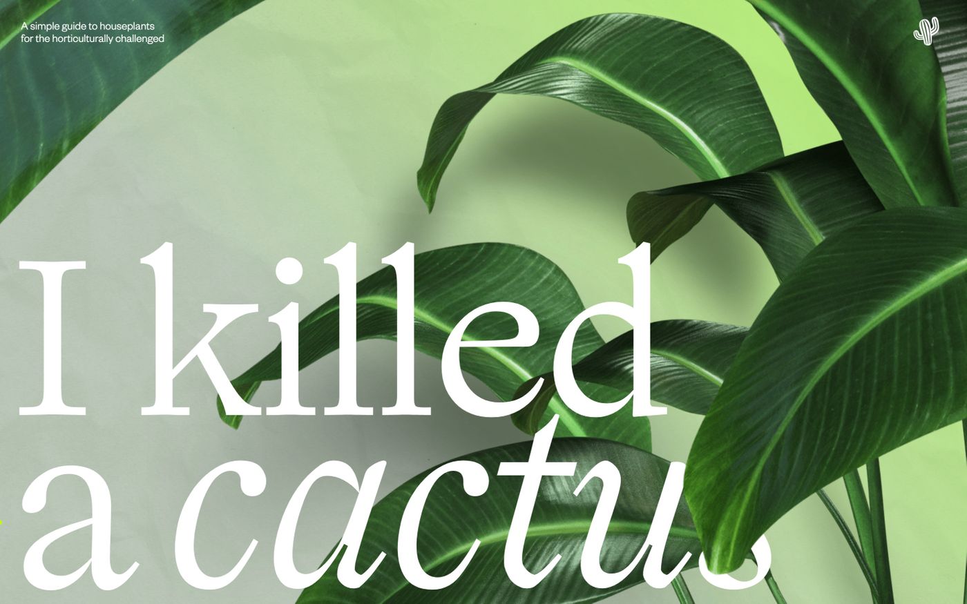 Screenshot of I Killed A Cactus website