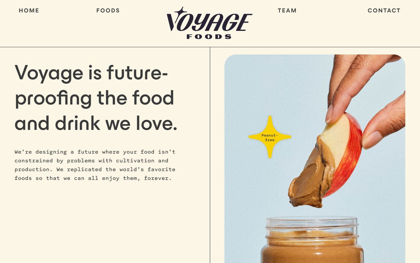 Screenshot of Voyage Foods website