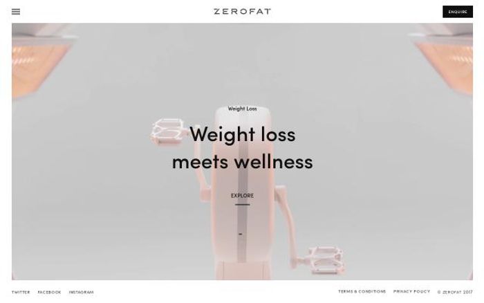 Screenshot of Zerofat website