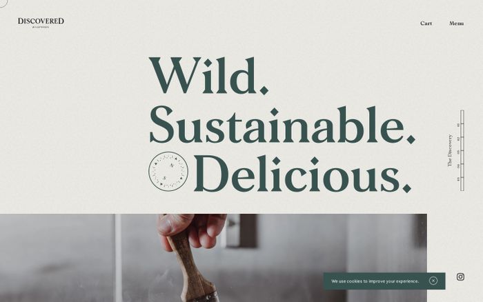 Screenshot of Discovered Wildfoods website