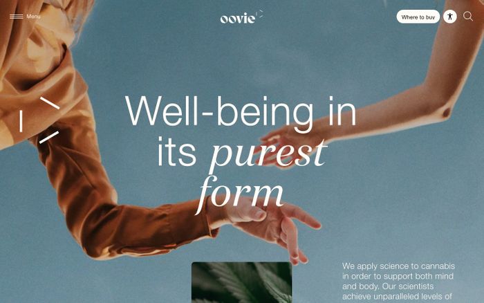 Inspirational website using Domaine Display and Helvetica Neue font