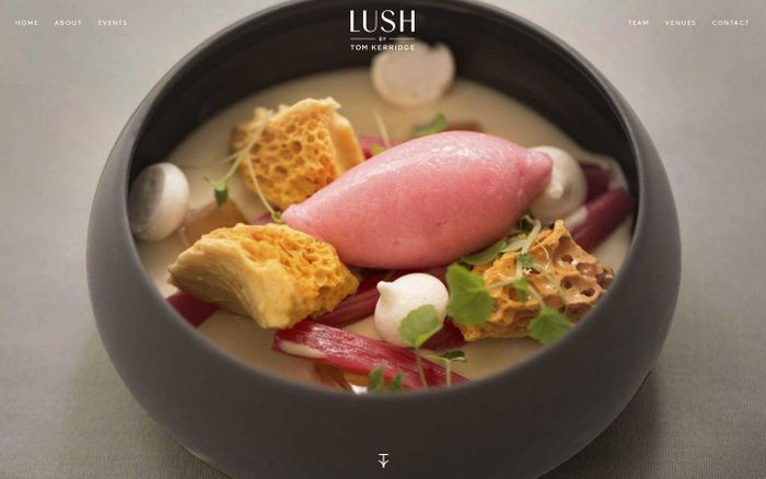Screenshot of Lush Hospitality | Home website