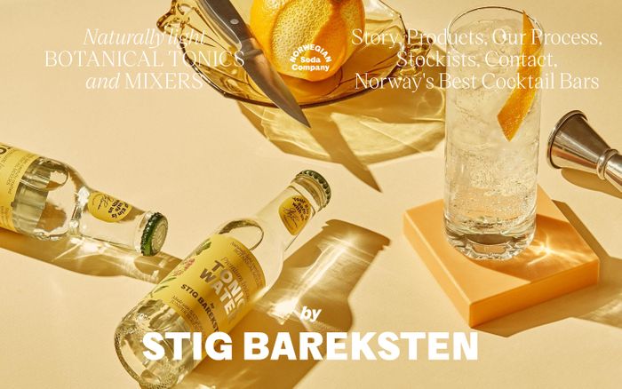 Screenshot of Norwegian Soda Co. website