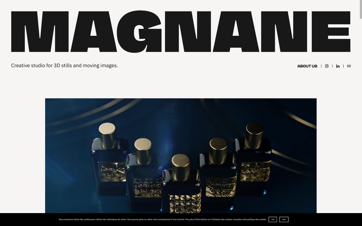 Screenshot of Magnane website