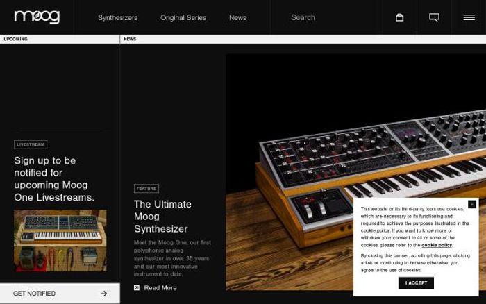 Screenshot of Moogmusic website