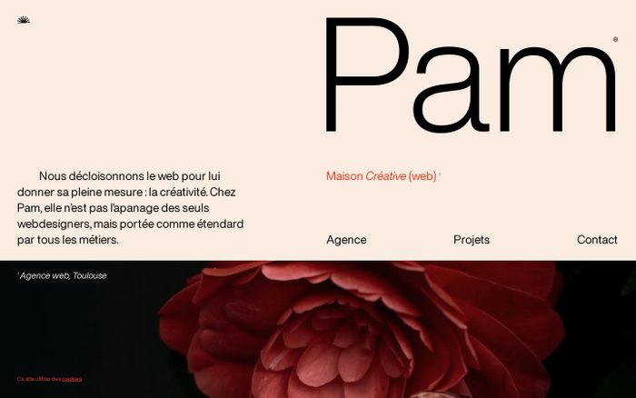 Screenshot of Pam website