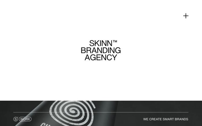 Screenshot of Skinn website