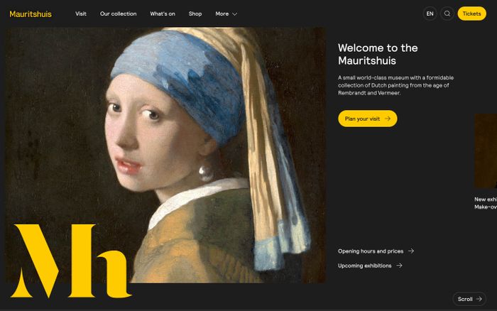 Screenshot of The Mauritshuis website