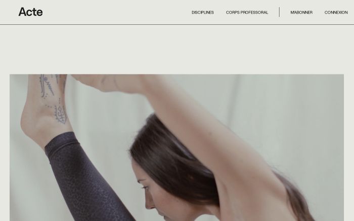 Screenshot of Acte training website