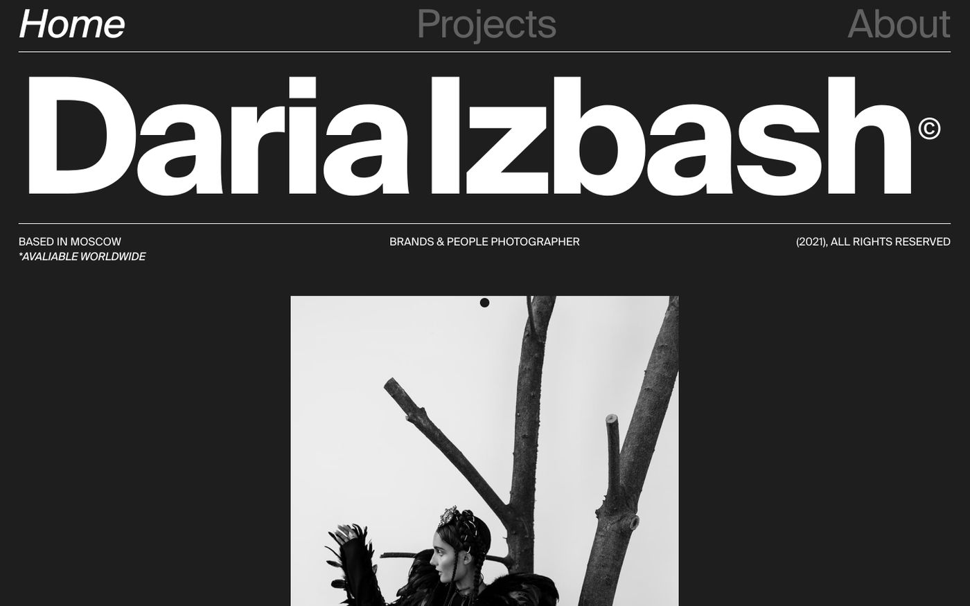 Screenshot of Daria Izbash website