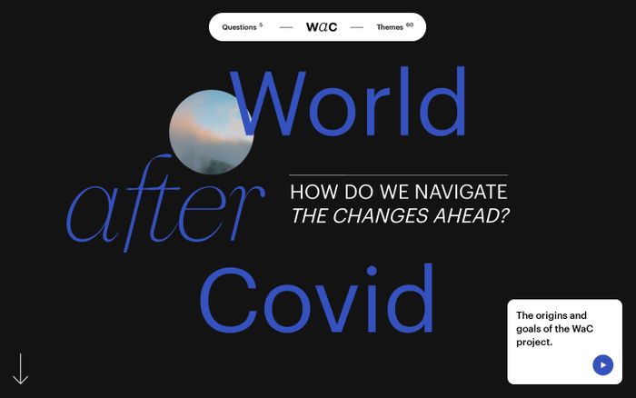 Screenshot of World After Covid website