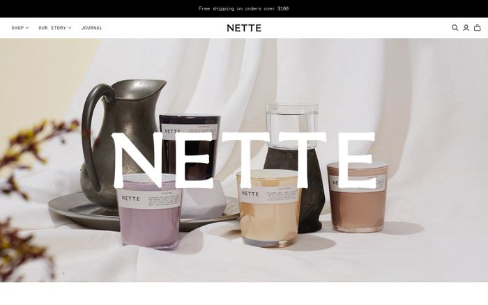 Screenshot of Nette website