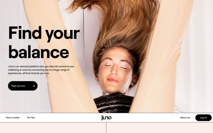 Screenshot of Juno website