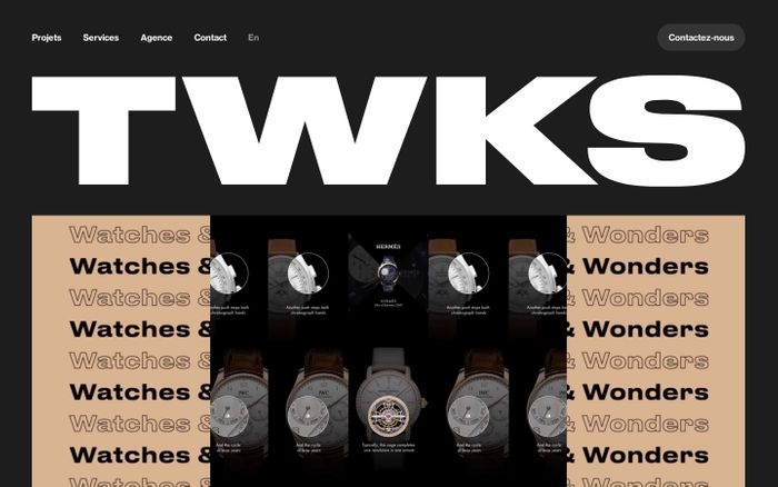 Screenshot of TWKS website