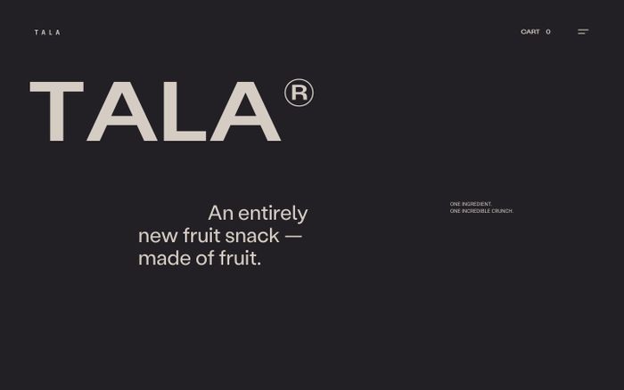 Inspirational website using Attila Sans, Domaine Display and Stabil Grotesk font