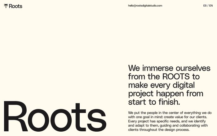 Screenshot of Roots Digital Studio website