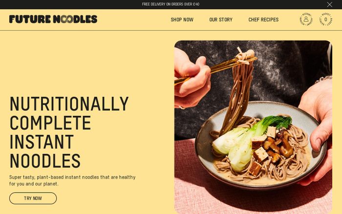Screenshot of Future Noodles website