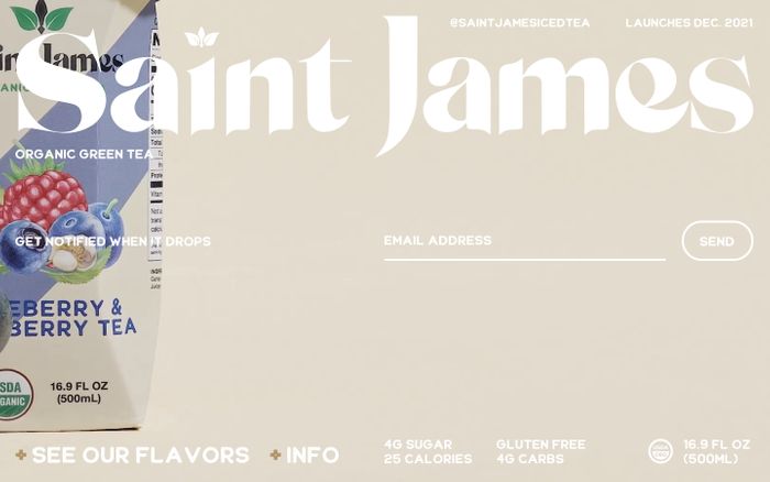 Screenshot of Saint James website
