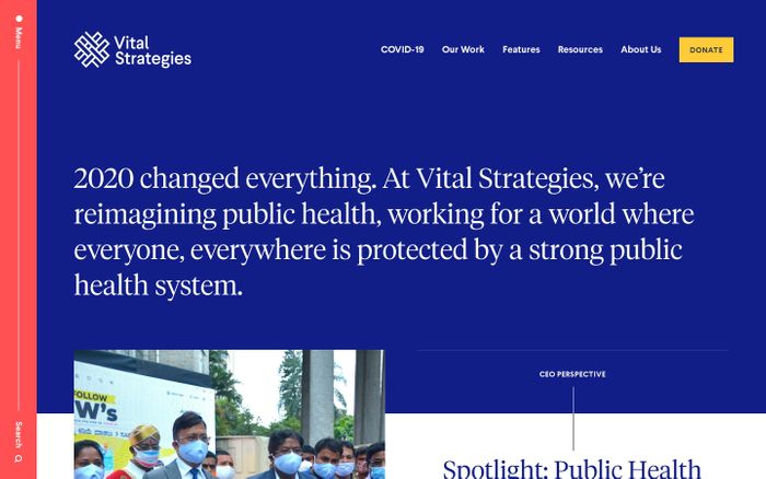 Screenshot of Vital Strategies website