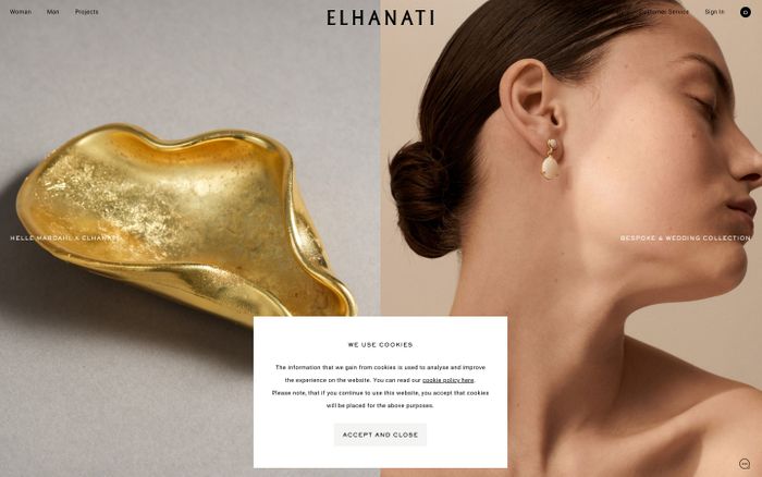 Screenshot of Elhanati website