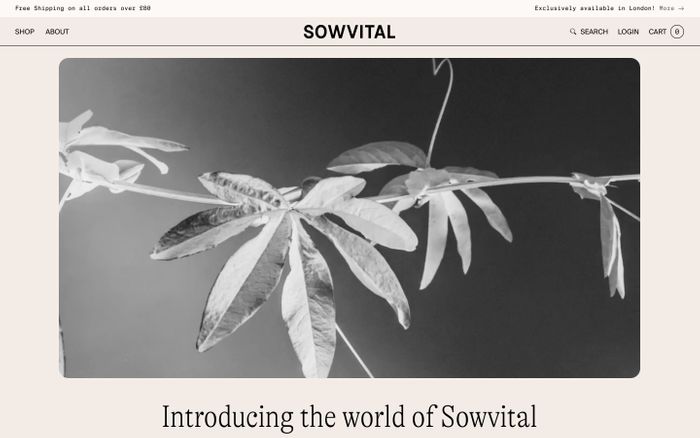 Screenshot of Sowvital website