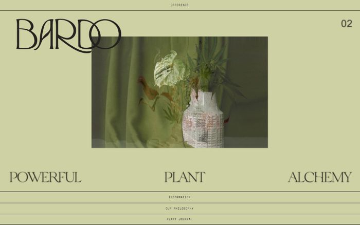 Screenshot of Bardo labs website