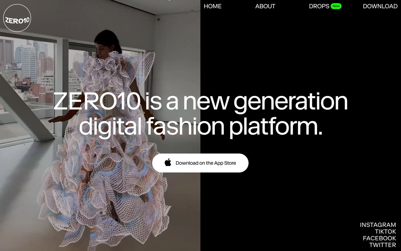 Screenshot of Zero10 website