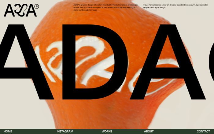 Inspirational website using Diatype, Monument Grotesk and Ortica font