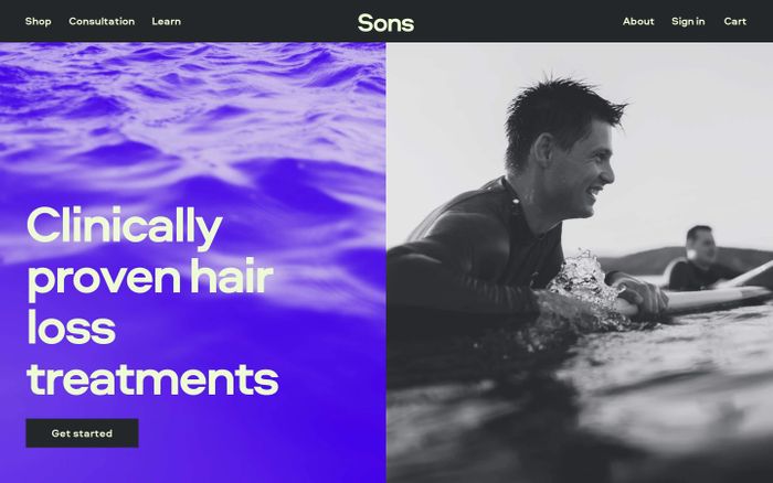 Screenshot of Sons website