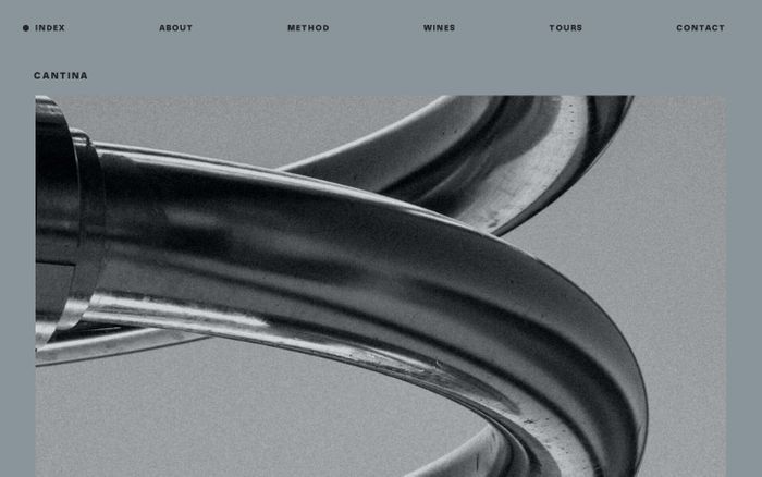 Inspirational website using GT Alpina and NN Nouvelle Grotesk font