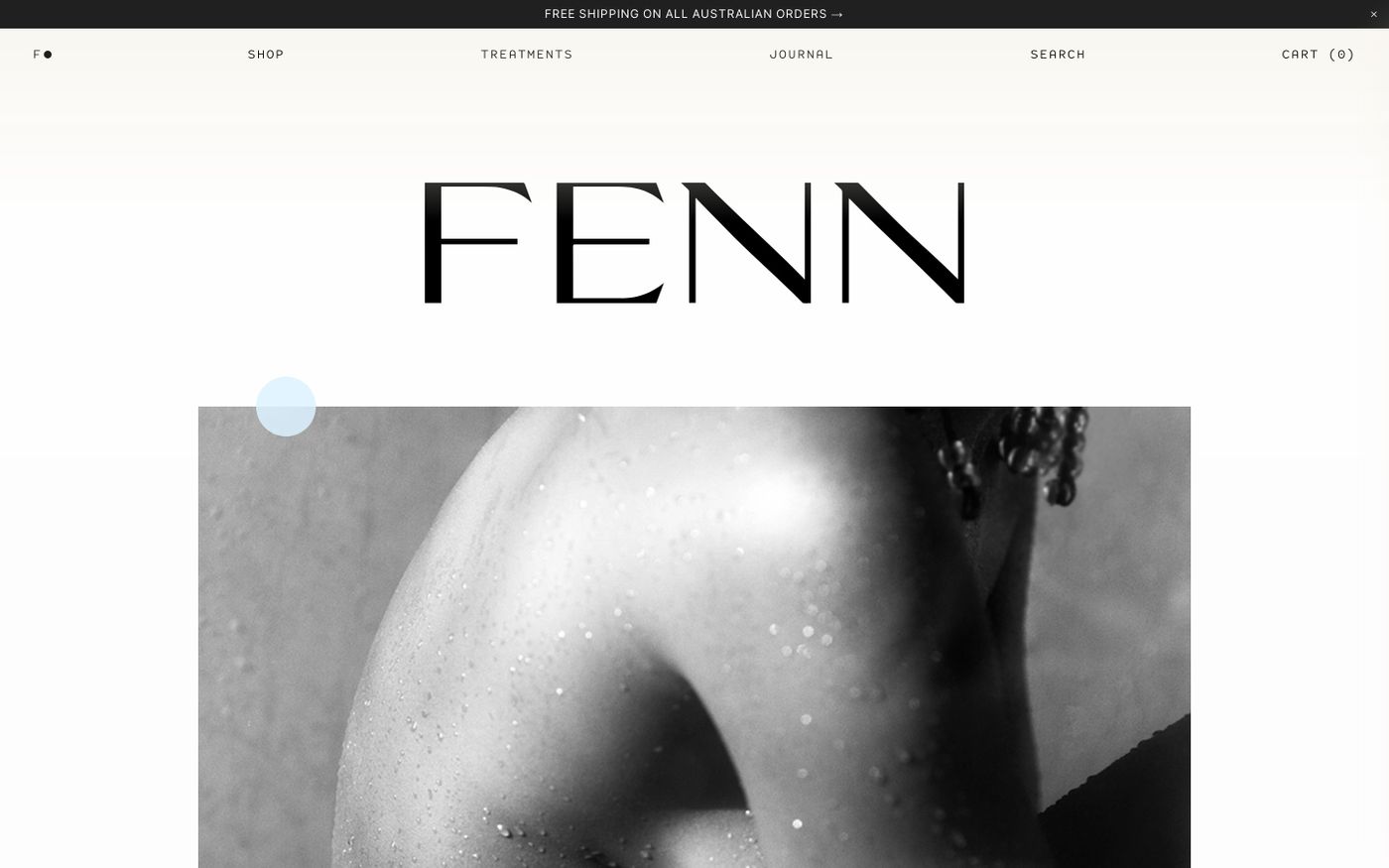 Screenshot of Fenn website
