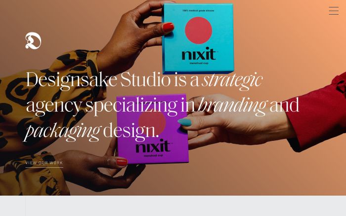Screenshot of Designsake Studio website