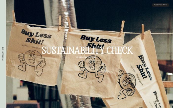 Screenshot of Sustainability Check website