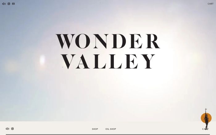 Screenshot of WONDER VALLEY website