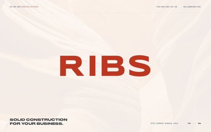 Screenshot of RIBS website
