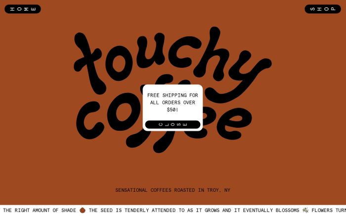 Screenshot of Touchy Coffee website