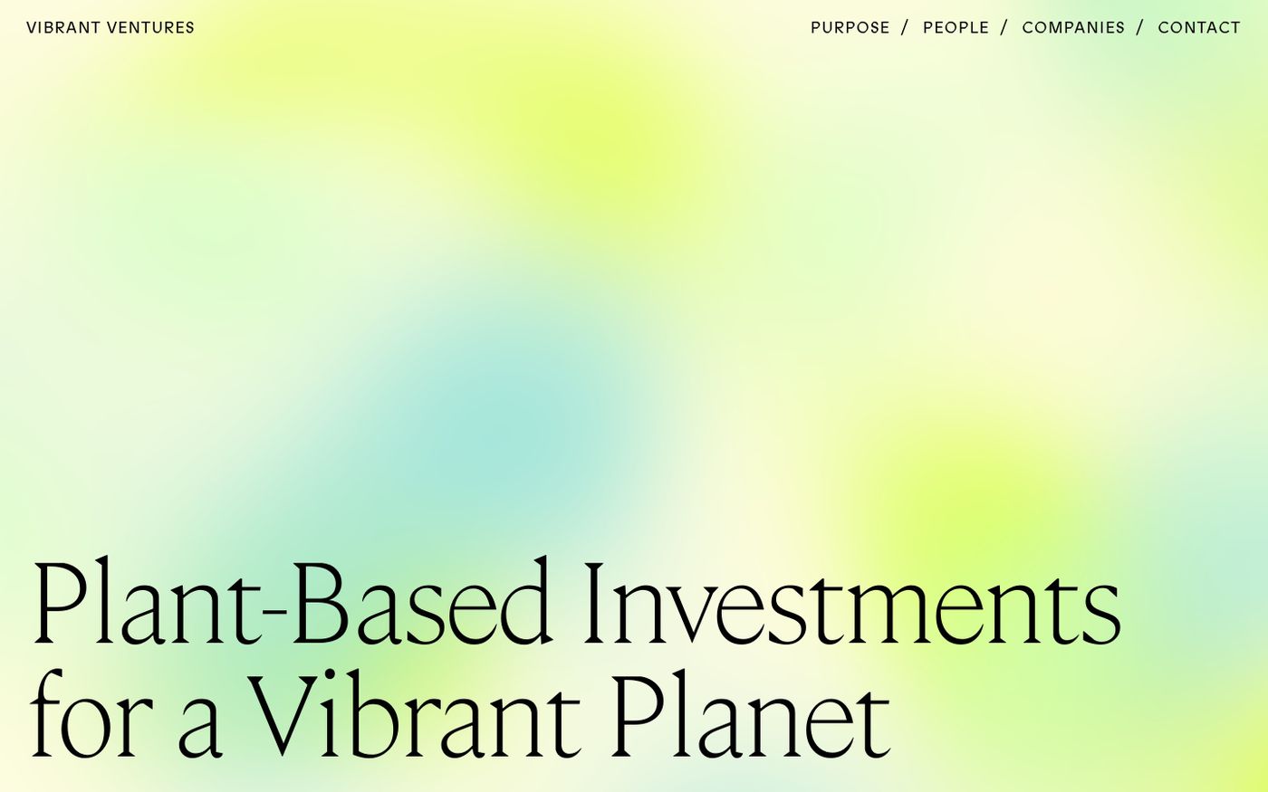 Screenshot of Vibrant ventures website