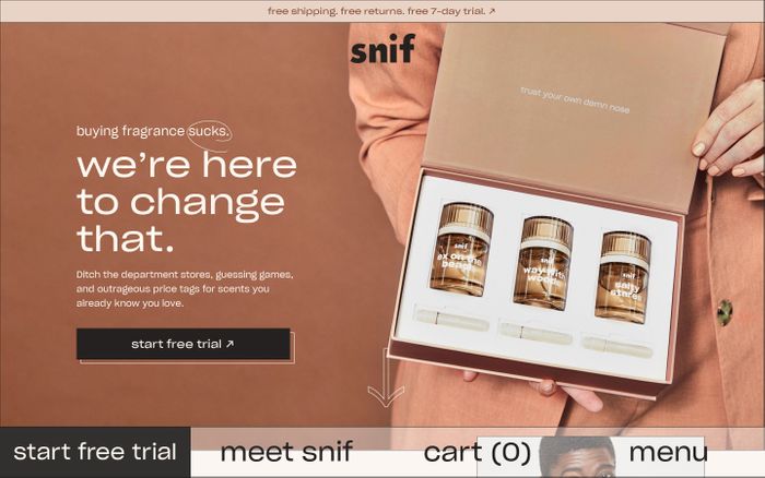 Screenshot of Snif website