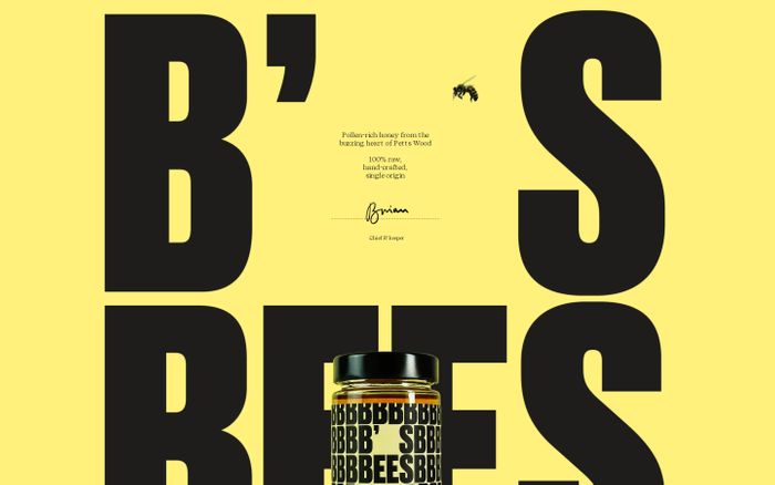 Screenshot of B’s Bees website