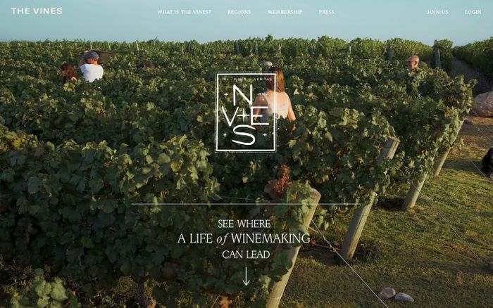 Screenshot of The vines website