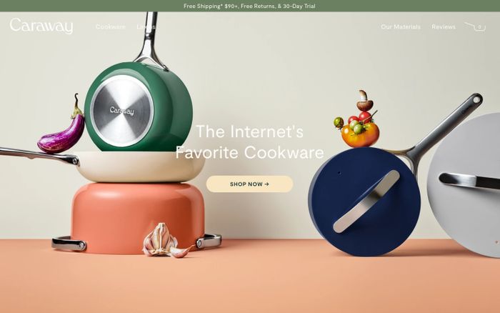 Screenshot of Caraway website