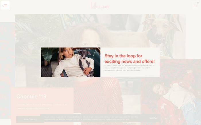 Screenshot of Bella + Frank | Sustainable Kids Clothing Brand website