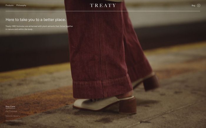 Screenshot of Treaty website