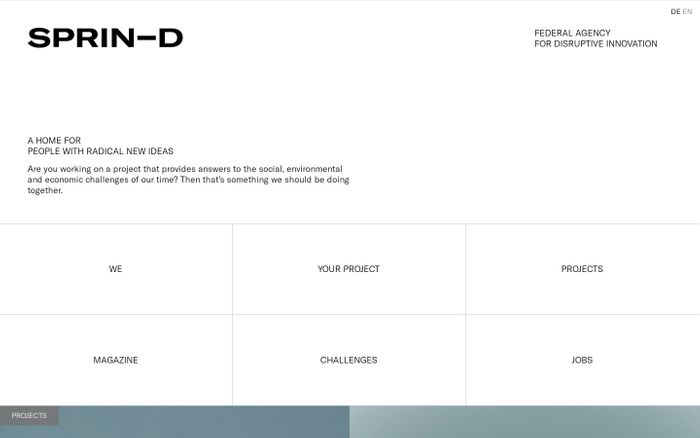 Screenshot of Sprin-D website