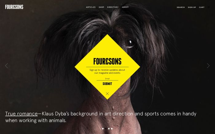 Screenshot of Four&Sons website