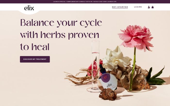 Screenshot of Elix website